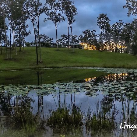 Linga Longa Spiritual Retreat Apartment Curra Exterior photo